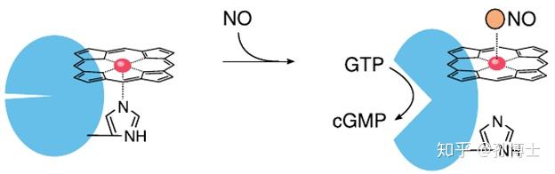 21cfr与cgmp关系的简单介绍